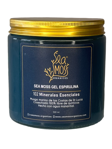 Sea moss gel + Espirulina azul