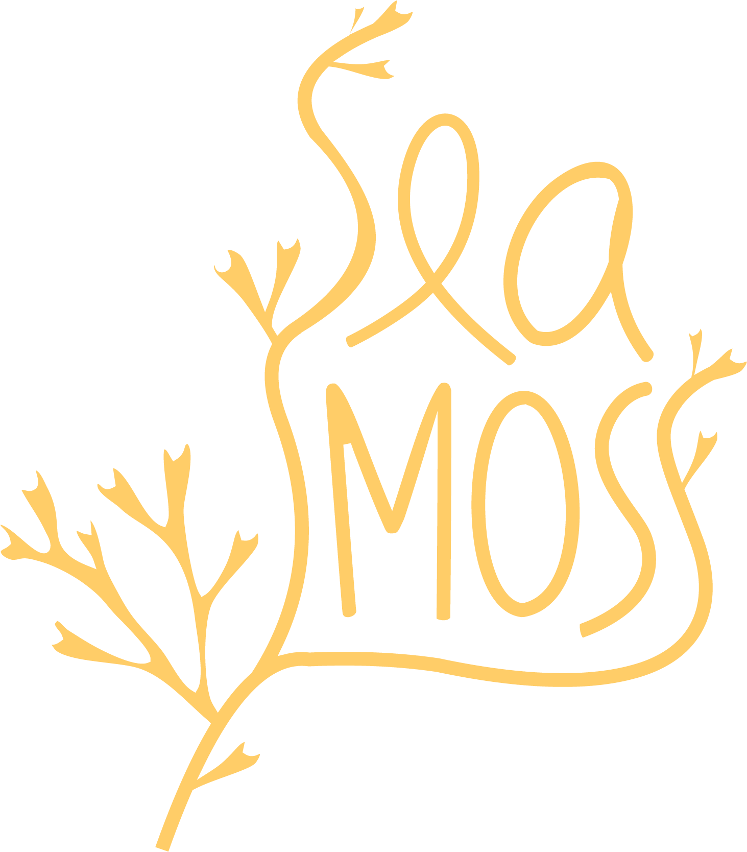 Sea moss Organicos